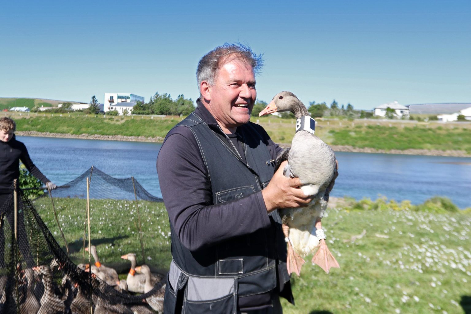 Gæsirnar hans Arnórs