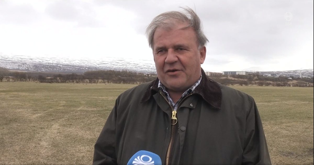 Ný þekking á háttalagi gæsa