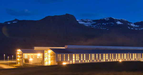 Fjarðaál
