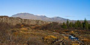 Forvarnir vegna gróðurelda