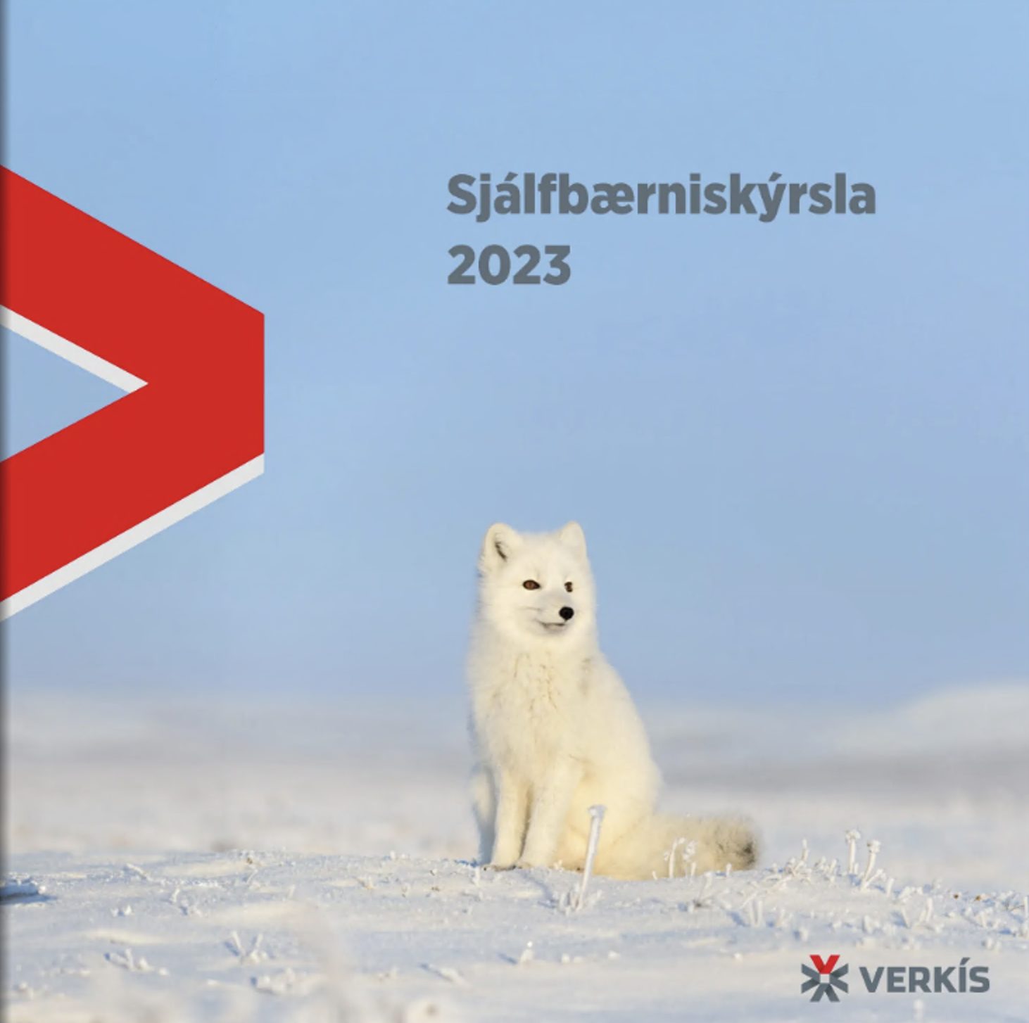 Sjálfbærniskýrsla Verkís