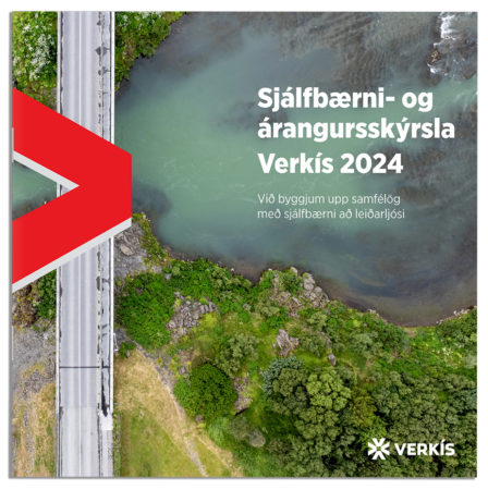 Sjálfbærniskýrsla Verkís 2024
